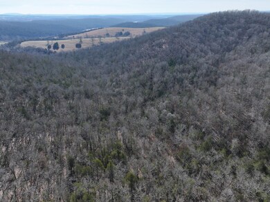 000 Hwy 160, Gainesville, MO 65655 - photo 7