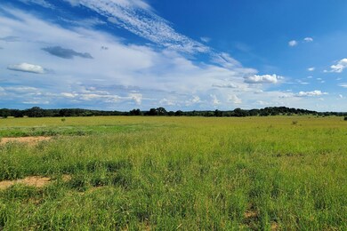 Tbd unit County Road 411B, Pontotoc, TX 78689 - photo 4