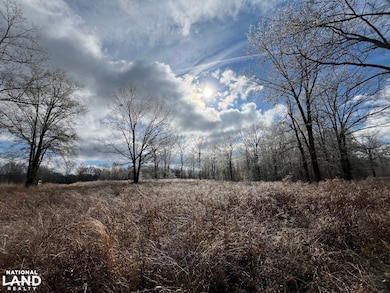 1444 Co Rd 441, Wilsonville, AL 35186 - photo 2