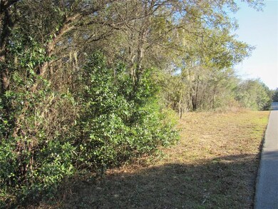 Rainbow's End Estates Located In Dunnellon, FL Is Convenient Within a 30-45 Minute Circle To Inverness, Crystal River, Inglis, Ocala, Williston & Gainesville---Only 20 minutes To the New World Equestrian Center!!