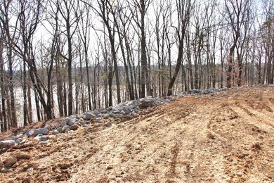 Lots 26 & 27 Cherokee Rd, Lucas, KY 42156 - photo 4