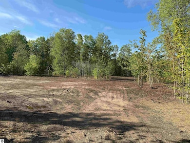 1060 E Solaris Way, Maple City, MI 49664 - photo 2