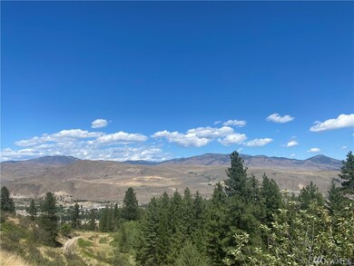 0 Wildcat Ridge Rd unit 1636795, Twisp, WA 98856 - photo 2