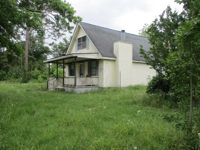 2176 Buttercup Ln, Pelham, GA 31779 - photo 2