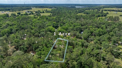 24341 Casey Rd, Brooksville, FL 34601 - photo 6