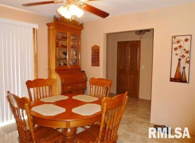 1616 N Ottawa St, Lincoln, IL 62656 - photo 6