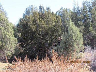 77 Juniperwood Ranch, Ash Fork, AZ 86320 - photo 3