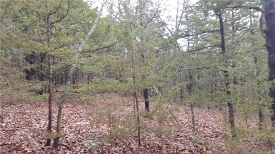 0 Willoughby Lot C Rd unit 1011779, Fayetteville, AR 72701 - photo 4