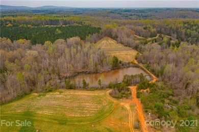 6647 Kidville Rd, Denver, NC 28037 - photo 6