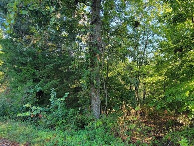 0 Dunvegan Dr unit 1200740, Bella Vista, AR 72715 - photo 2