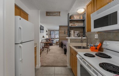 314 N Tamarron Dr unit 412, Durango, CO 81301 - photo 3