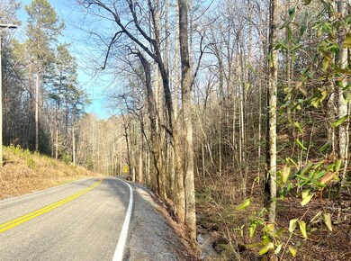12 ACRE Pleasant Gap Rd, Ellijay, GA 30540 - photo 3