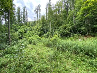 0000 Fox Creek Rd, Mars Hill, NC 28754 - photo 6