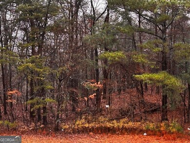 0 Talona Rd unit 10652283, Ellijay, GA 30540 - photo 6