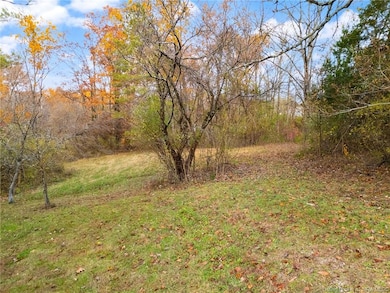 0 W Pedora School Rd unit 2025012305, Patoka Township, IN 47116 - photo 4