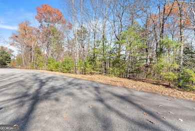 LOT 26 & 27 Spring Crest Rd, Cleveland, GA 30528 - photo 3
