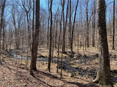 0 Andrew Mountain Rd unit 170603648, Naugatuck, CT 06770 - photo 5