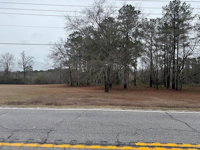 2471 Wedgefield Rd, Sumter, SC 29154 - photo 3