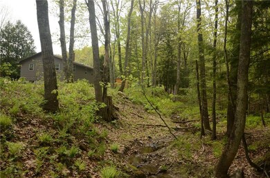 81 Lewis Hill Rd, Bowdoin, ME 04287 - photo 2