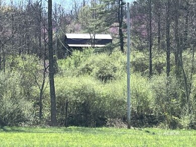 Cabin from Road