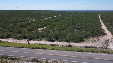 000 Abst 1393 Sur 592, Mirando City, TX 78369 - photo 4