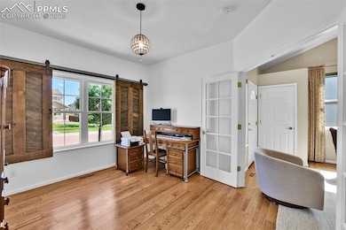 Bedroom or Office with a Closet