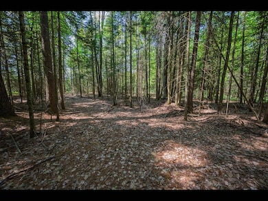 Lot 1 Memory Ln, Eagle River, WI 54521 - photo 2