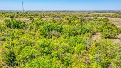 tbd 74 Pommel Ct, Weatherford, TX 76088 - photo 3