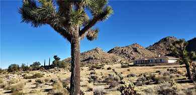 7900 Wesley Rd, Joshua Tree, CA 92252 - photo 5