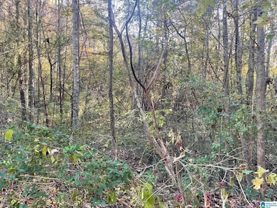 529 Foxfire Dr, Gardendale, AL 35071 - photo 3