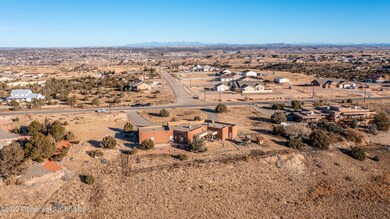 167 Road 3950, Farmington, NM 87401 - photo 3