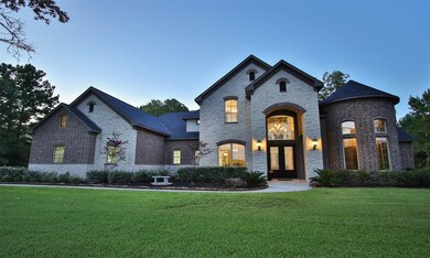 29013 Village Ridge Ct, Magnolia, TX 77355 - photo 7