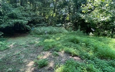 Additional View
