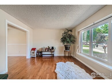 12803 Columbine Cir, Thornton, CO 80241 - photo 4