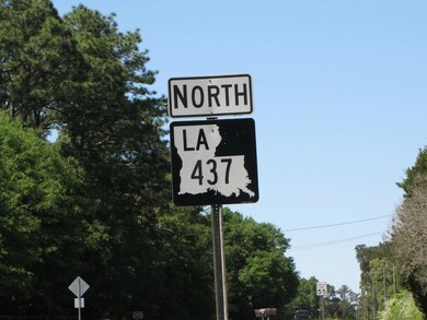 28.57 Acres of beautiful high land on 