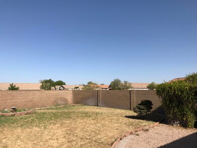 huge back yard