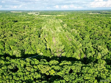 Aerial view of property's location featuring a forest