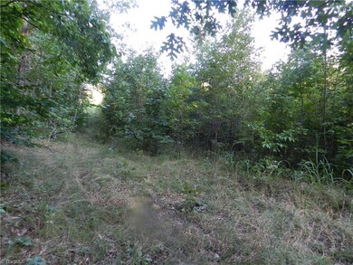 0 Old Cox Rd unit 806350, Asheboro, NC 27205 - photo 4