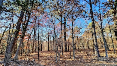 14 Big Bear Rd, Flint Creek, OK 74347 - photo 2