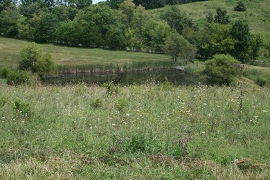 966 Manns Rd, Harrodsburg, KY 40330 - photo 6