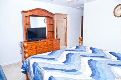 Additional View 7