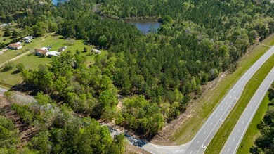 0 Highway 82, Sylvester, GA 31791 - photo 3