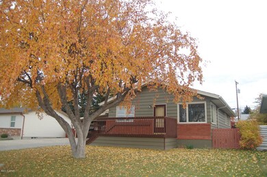 front with tree