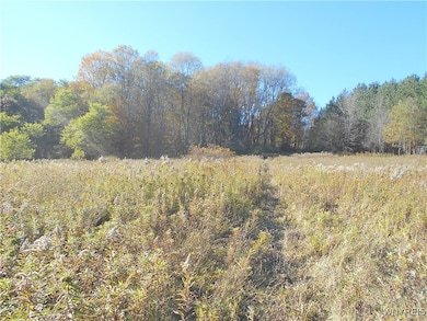 4738 Roszyk Hill Lot #2 Rd, MacHias, NY 14101 - photo 7