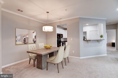 7270 Darby Downs unit H, Elkridge, MD 21075 - photo 7