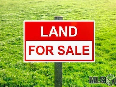 Lot A1 Reinninger Rd, Denham Springs, LA 70706 - photo 2