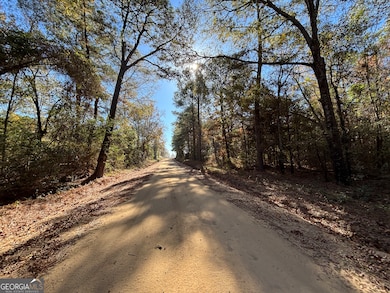 PARCEL Julian-Simpson Rd, Cochran, GA 31014 - photo 2
