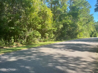 117 S Branch Rd, Wilmington, NC 28411 - photo 7