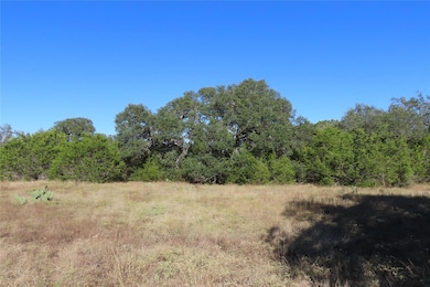 317 Little Gabriel River Dr, Liberty Hill, TX 78642 - photo 4