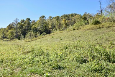 0 E Esculapis Fork Rd unit 25018893, Vanceburg, KY 41179 - photo 4
